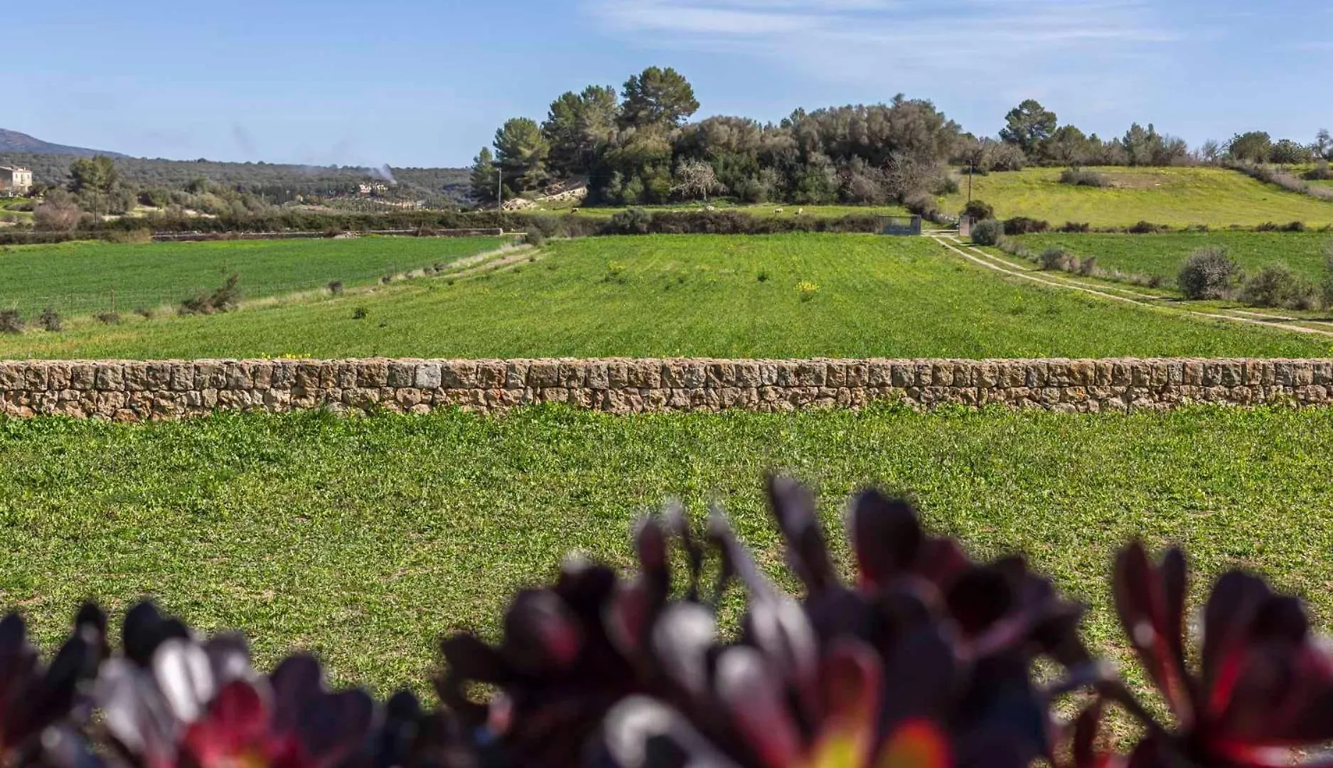 Holiday home Son Guillot De'N Pedro Villa Ariany Spain
